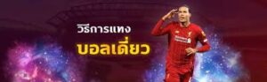 แทงบอลเดี่ยว